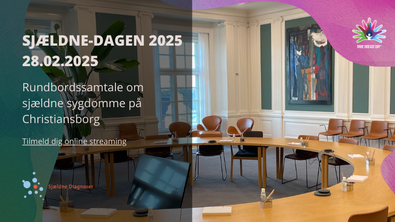 Roundtable on better conditions for people with rare diseases in Denmark