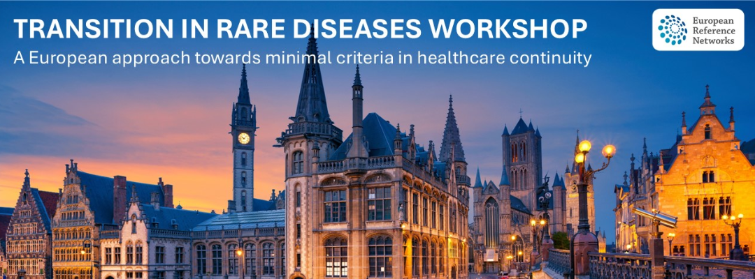 Transition in Rare Diseases Workshop – A European approach towards minimal criteria in healthcare continuity