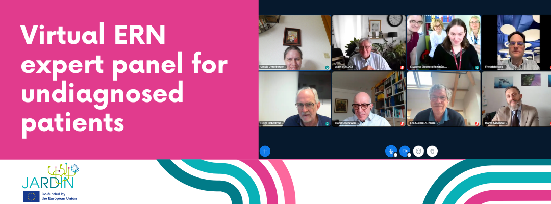JARDIN’s virtual ERN expert panel for undiagnosed patients